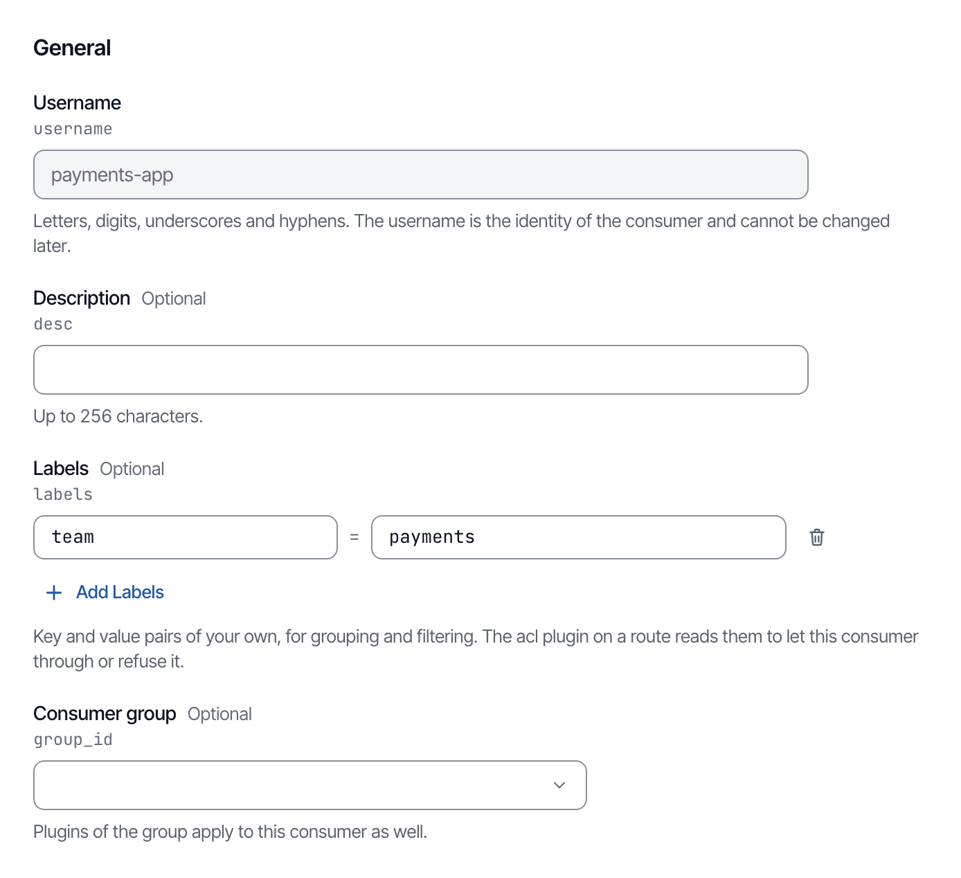 The Labels field of the Edit consumer form, with the key team and the value payments filled in.