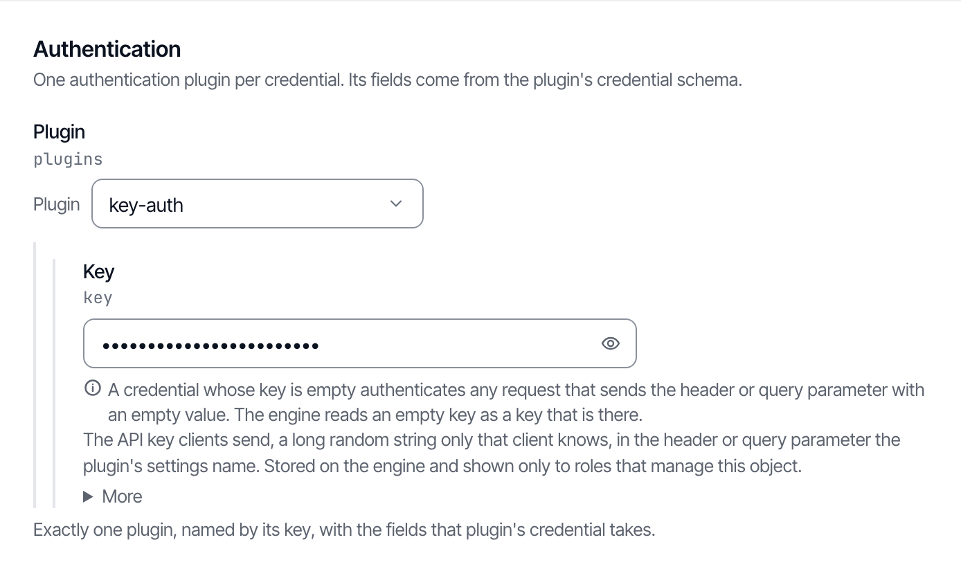 The Authentication section of the new-credential form, with key-auth chosen and a key typed in.